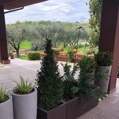 La Casa Delle Fragole Casa de Férias *